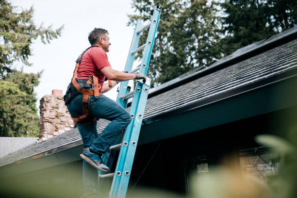 Waterproofing in La Croft, OH